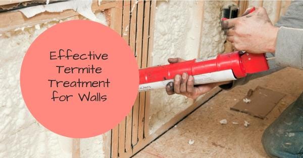 10 Effective Ways To Treat Termites in The Walls