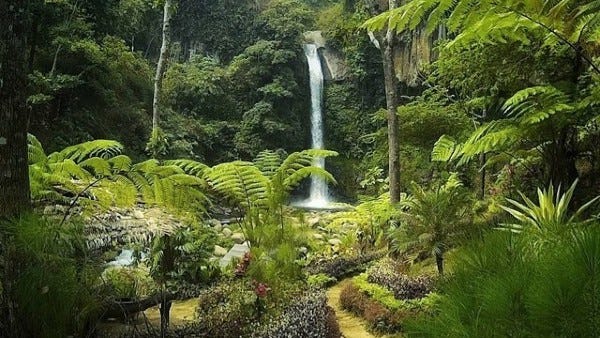 Coban Jahe in Malang Indonesia