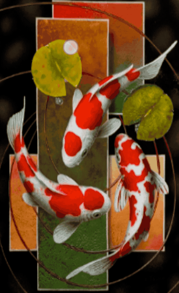 A still image of three fish below the surface of the water. A pointer drags across the screen, creating a ripple effect.