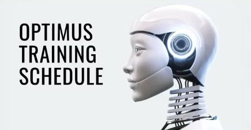 Humanoid robot Optimus Undergoes 24/7 Training in 3 Shifts