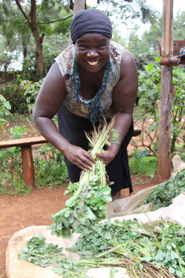 Village Enterprise business owner Betty Amase bundling plants