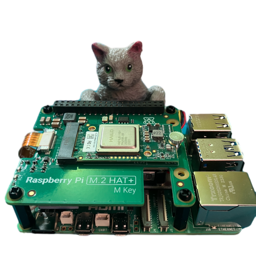 Unstructured Data Processing with a Raspberry Pi AI Kit