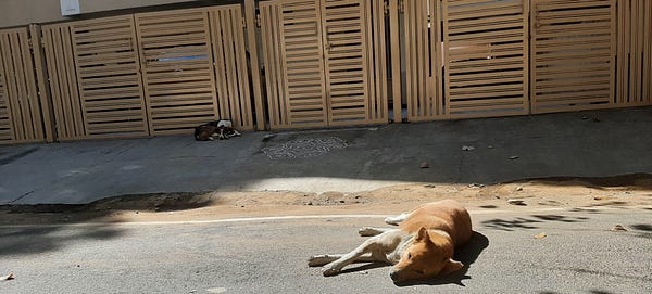 1*3O2820ryrGc1eG8VdOgPOA.jpeg
