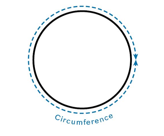 The Theory of Boundary Essentialism
The Core Statement