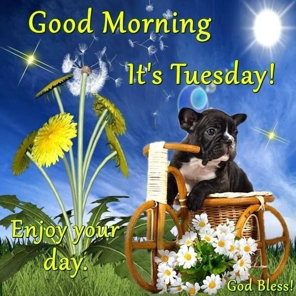 good morning tuesday