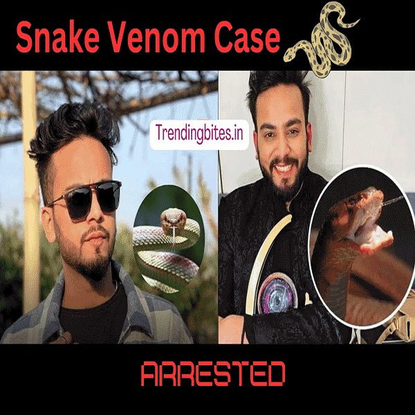Elvish Yadav News: Admit to arrange ‘snake venom’ in parties