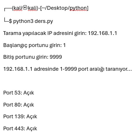 Python ile Port Taraması ve Güvenlik Analizi