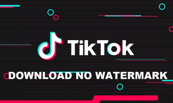 tiktok downloader