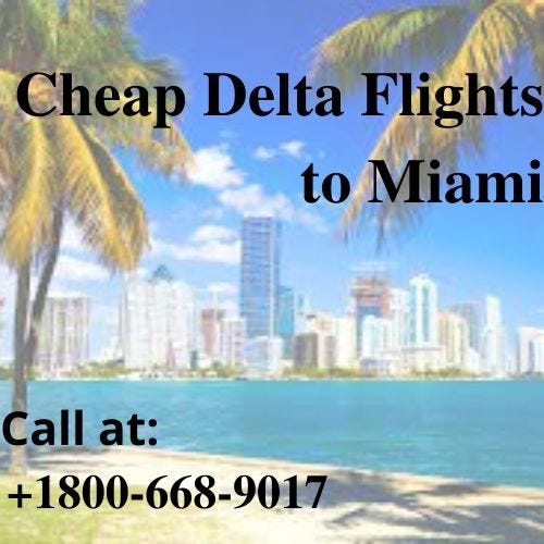 How To Find Cheap Flights To Miami?—?The Ultimate Guide