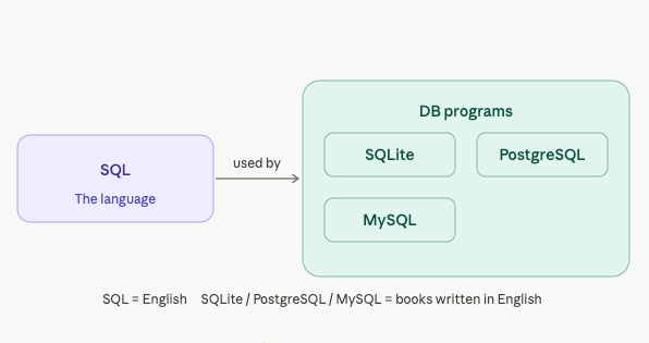 What I Learned About SQL and Databases ️