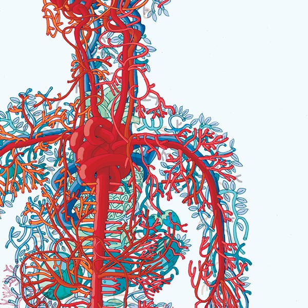 An artistic illustration of the human nervous system, with a knot of blood vessels at the heart.