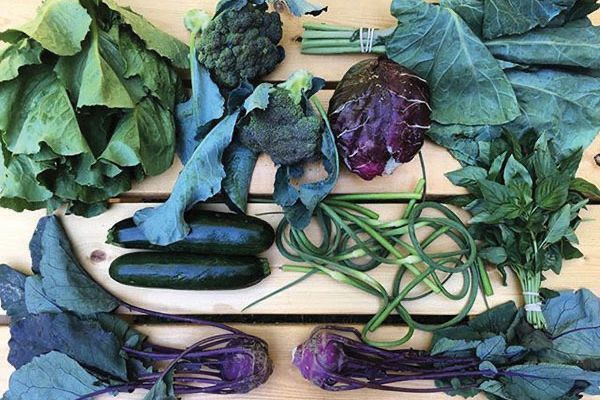 Birds eye view of a variety of vegetables typically found in a CSA box: cucumbers, broccoli, kale, cabbage, garlic scapes, and herbs