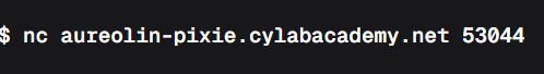 Trust But Verify Write-up Cylab-Academy(PicoCTF)