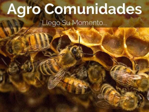 agro comunidades