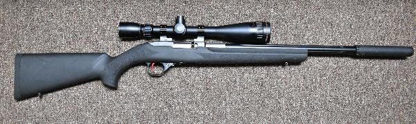 Ruger 10/22 Scope Options