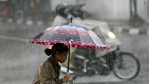 Kemarau Basah: Cuaca Aneh Indonesia dan Pengaruhnya pada Harga Beras