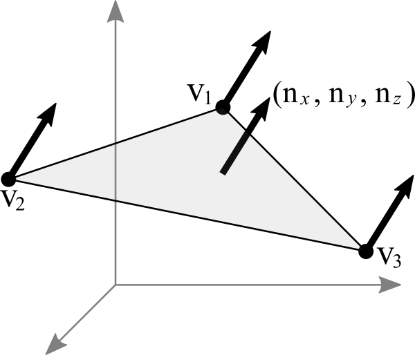 the surface has a normal and each vertex have its own normal