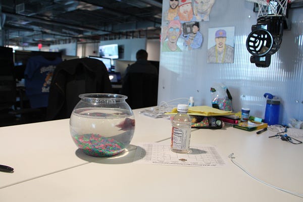 Bleacher Report's pet fish