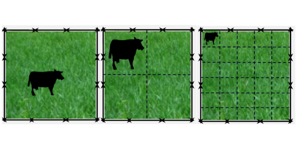 Illustration of grazing management: continuous grazing (left), extensive rotational grazing (middle) and management intensive rotational grazing (right). (Courtesy of iGrow.org)