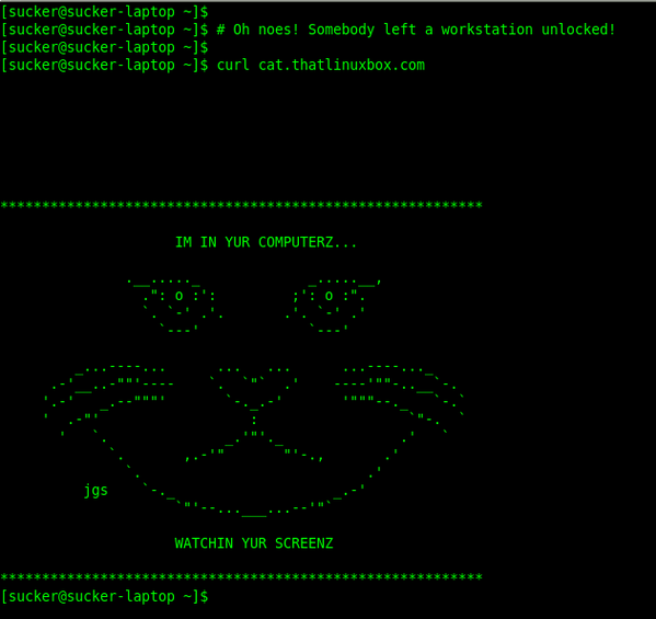Best Linux Commands for Entry-Level LinuxUsers