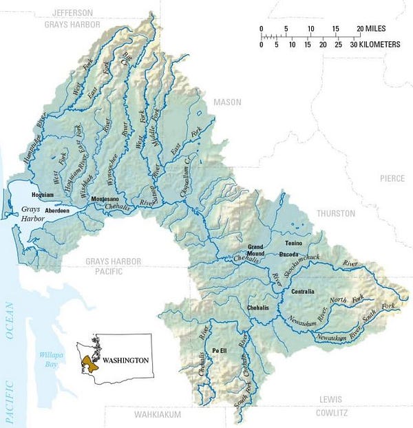 State works to mitigate flood damage, restore fish habitats in Chehalis
