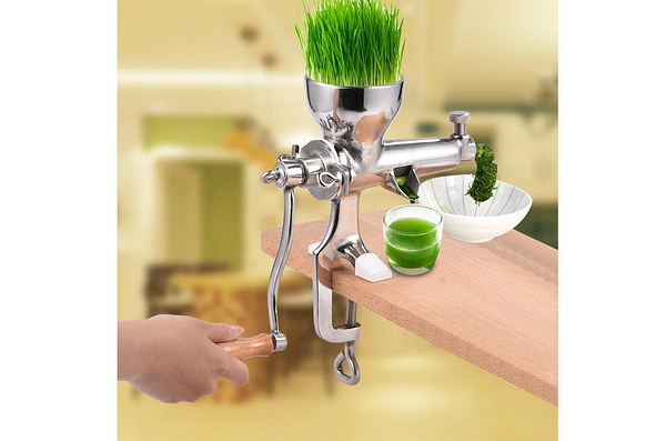 - Best Wheatgrass Juicers Reviews — walfosbrand.com