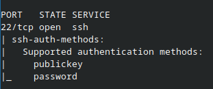 SSH - Festung oder Low Hanging Fruit?