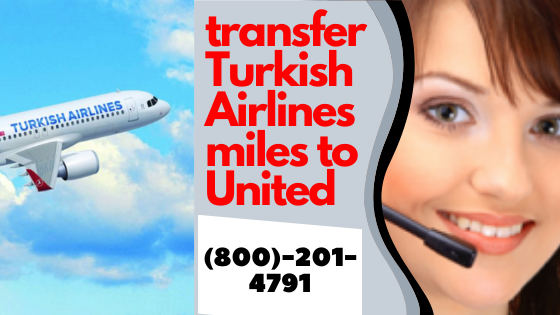 How To Spend Turkish Airline Miles For Booking Flights?