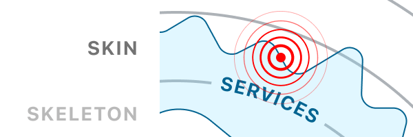 Tension point 3: ScienceSeeker, at the Skin/Services boundary