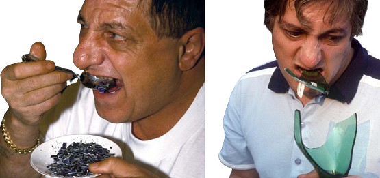 ?? The Man Who Ate a Plane