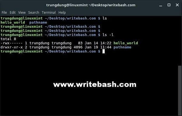 Understand long format of ls command in Linux