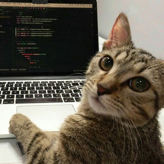 SQL SUB QUERY
