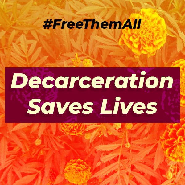 Words “Decarceration Saves Lives” highlighted atop an orange background of wildflowers & leaves. Hashtag #FreeThemAll above.