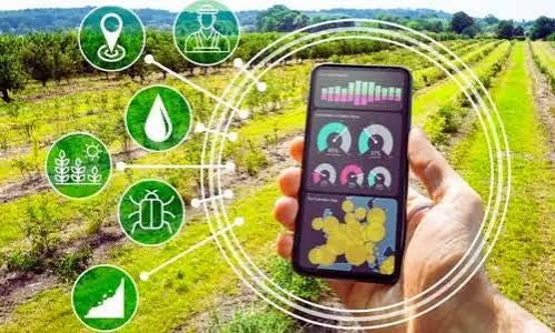AI-Powered Farms — How Artificial Intelligence is Revolutionizing Sustainable Crop Management
