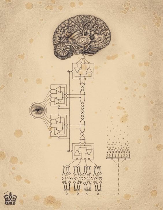 UX Design &amp; Psicanálise