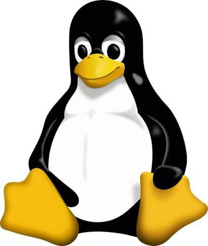 Linux Shell Kullanımı ve Temel Komutlar