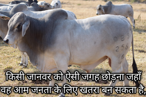 BNS Section 291 – Negligent conduct with respect to animals: