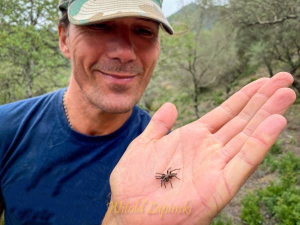 A smiling man with blue t-shirt presents a small tarantula on his hand.