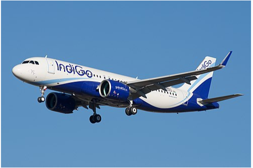 Indigo: Is this its downfall-
