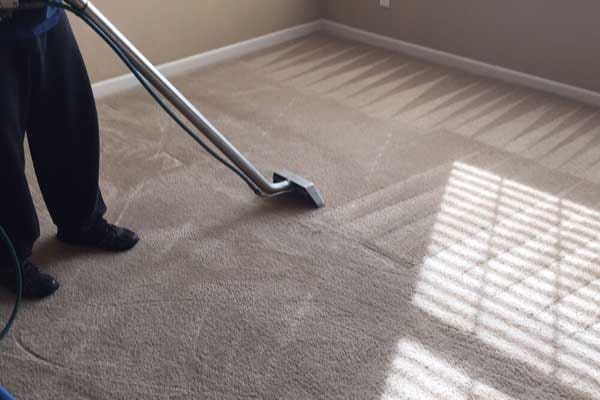 Carpet Stain Removal Services