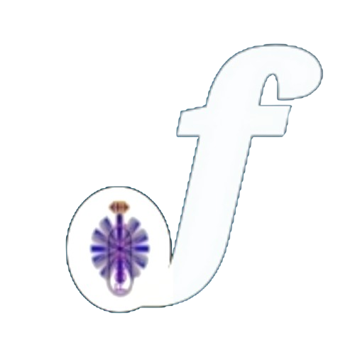 FSCSS is becoming what its name always promised — Figured