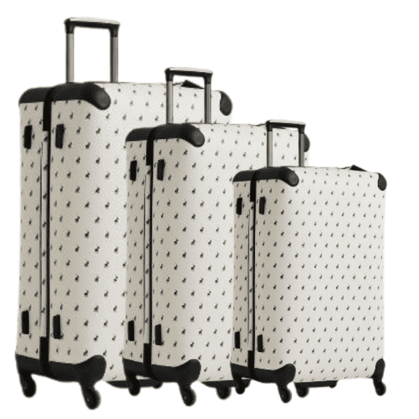 luggage set