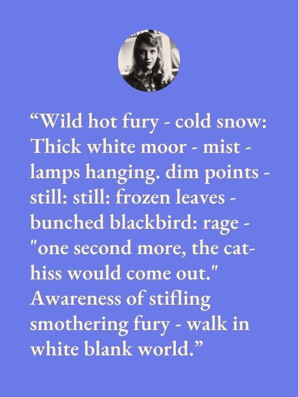 “Wild hot fury — cold snow: Thick white moor — mist — lamps hanging. dim points — still: still: frozen leaves — bunched blackbird: rage — “one second more, the cat-hiss would come out.” Awareness of stifling smothering fury — walk in white blank world.”