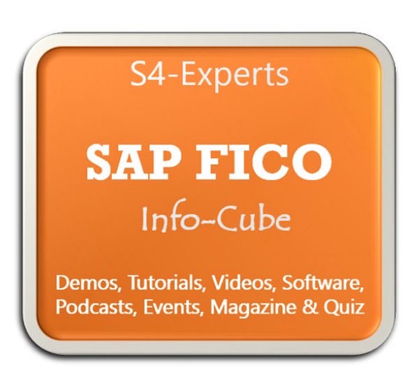 Maximizing Financial Clarity with SAP FI