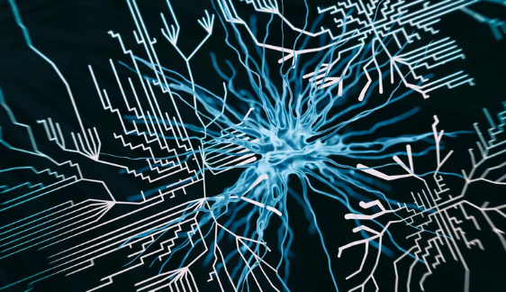 A Case for Novel Networks
