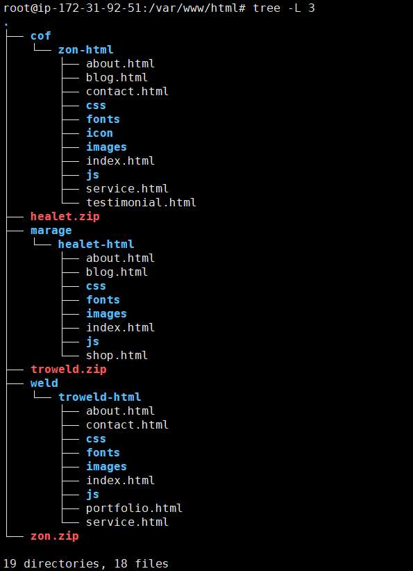 Virtual Hosting ~ Ubuntu Linux ~ AWS