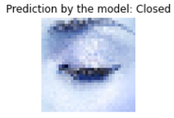 predictions of the model