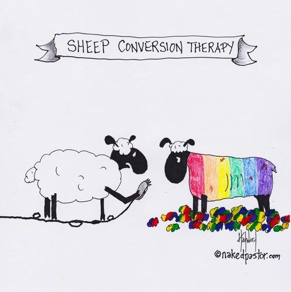 A banner reads “sheep conversion therapy.” Underneath, a white-wooled sheep holds a razor and looks concerned towards a sheep whose rainbow wool has been sheered, only to reveal that its skin beneath is also rainbow.