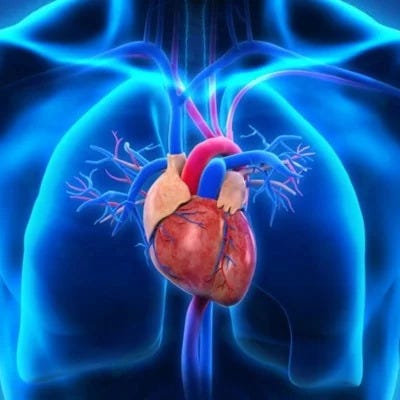 Why Regular Health Checkups Are More Important Than Ever | Oxycare Hospitals
