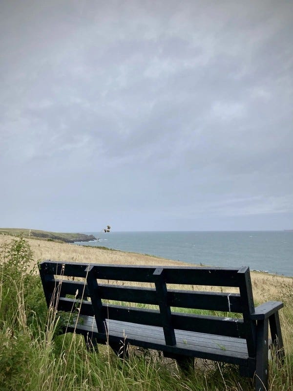 Un banc en bois surplombe un champ herbeux et une mer calme sous un ciel nuageux. L’endroit parfait pour la tranquillité du… #SilentSunday © 20240825 Gilles Denizot